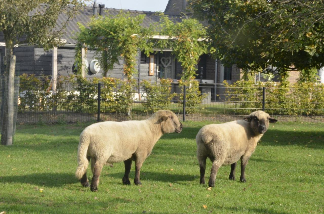 Guesthouse De Bongerd Overberg, B&B Holland, The Orchard Esterno foto