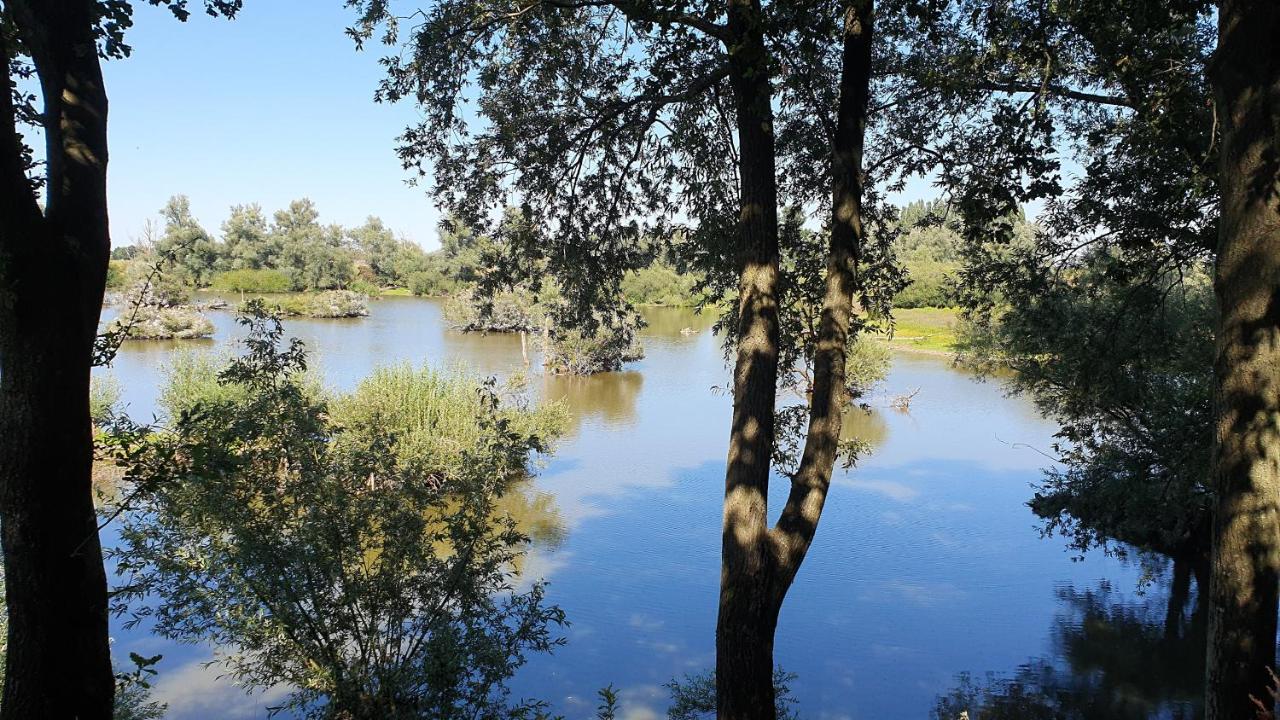 Guesthouse De Bongerd Overberg, B&B Holland, The Orchard Esterno foto